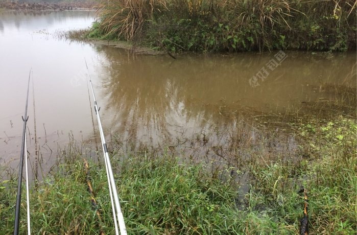 保山乡场街头外拦河堰