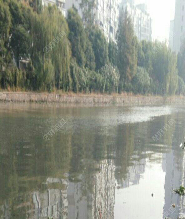 山水四季城钓场