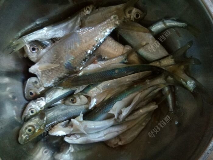 今天小鱼,因为经常有时间去钓鱼玩,我也不钓多少 今天小鱼,因为经常有时间去钓鱼玩,我也不钓多少