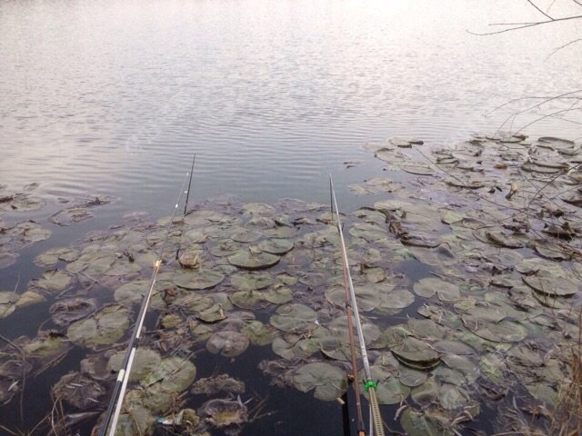 EJWOJOIJ.jpg EJWOJOIJ.jpg