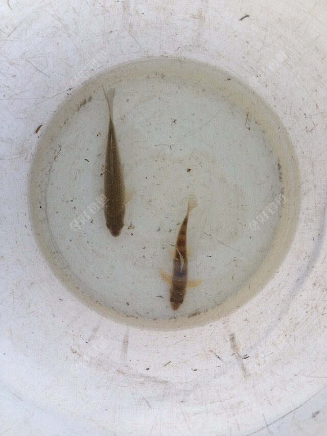 ODRWSUWC.jpg ODRWSUWC.jpg