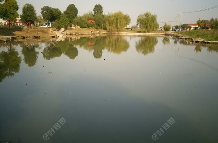 玫瑰园垂钓基地