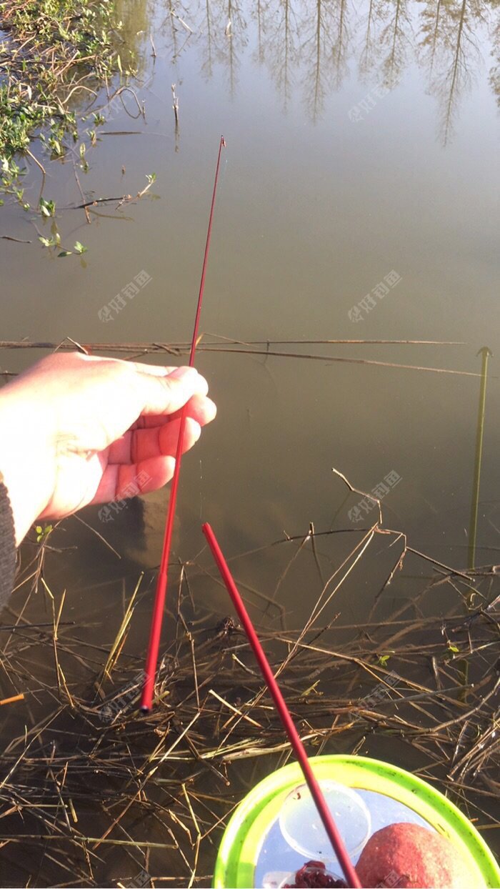 PLMBKKET.jpg PLMBKKET.jpg