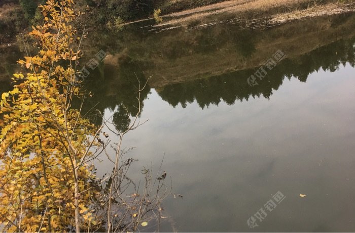 乡下的路边野河