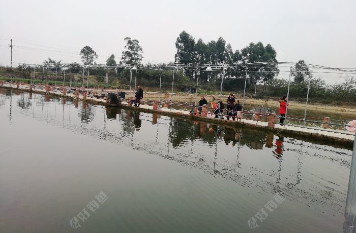 成都蓝天白云生态钓场