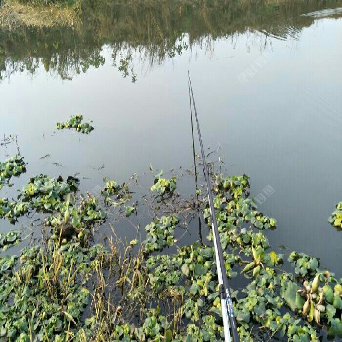 东湖后面