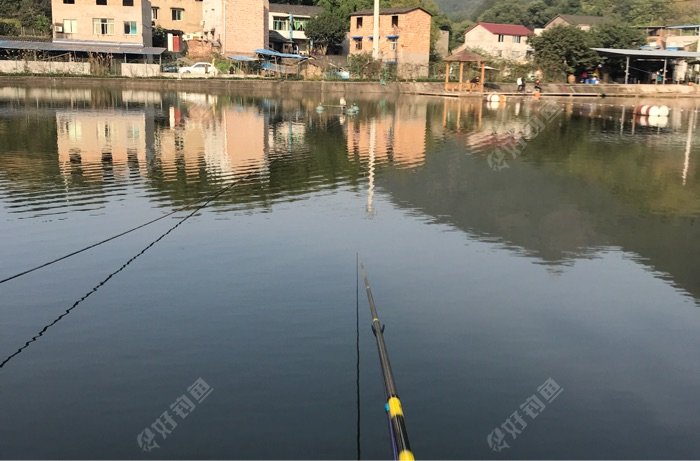 沙坪坝钓鱼协会