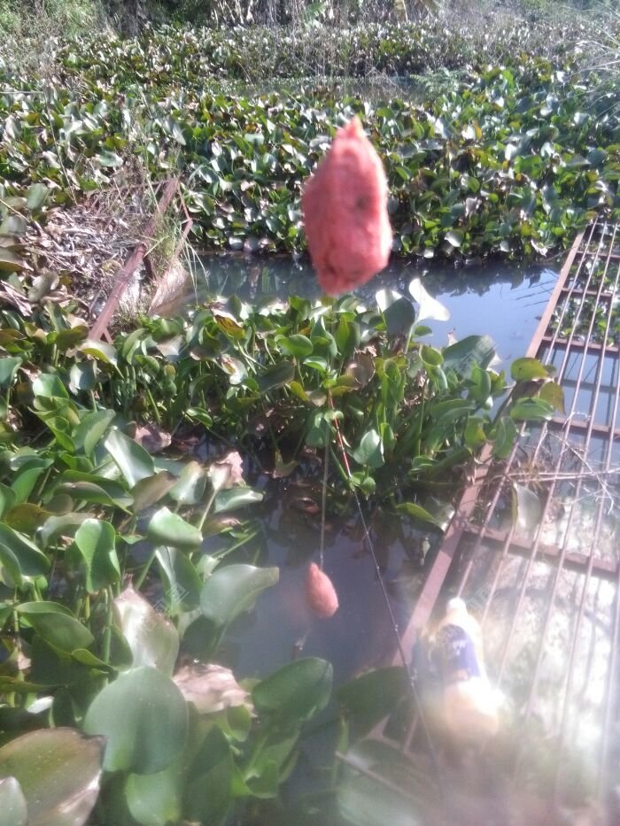 就这样打了十几杆