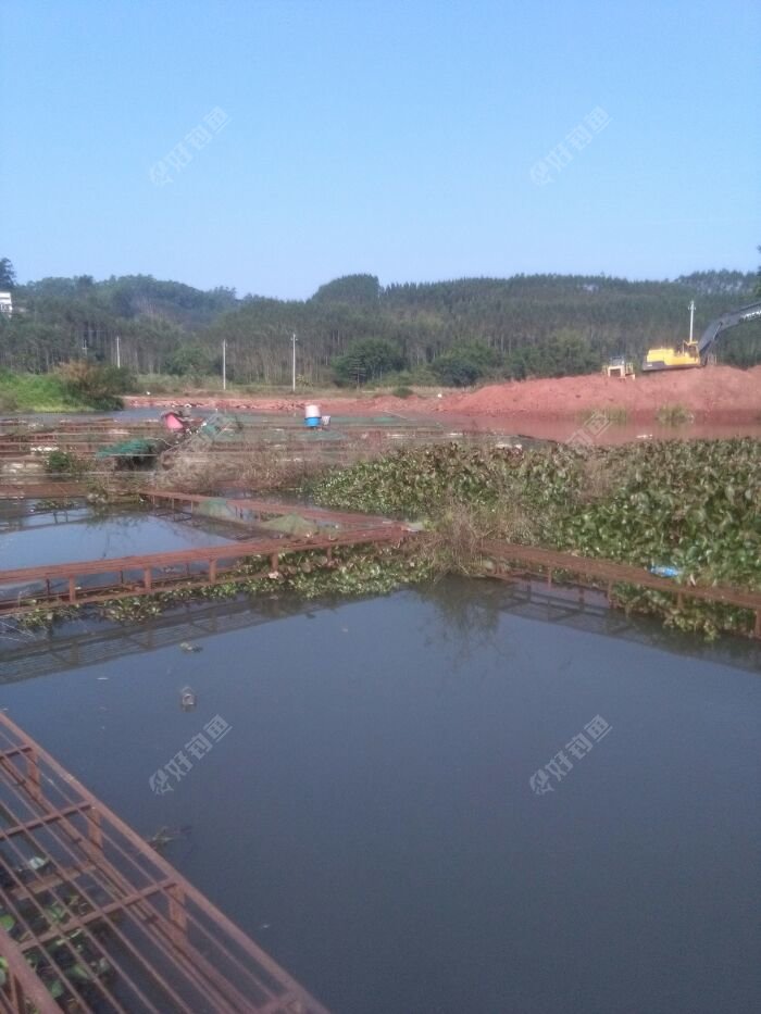 看前面河道可以通车了,这速度没得说