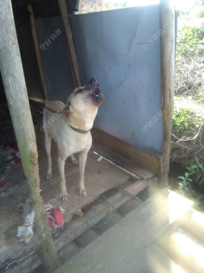 你在表达什么呢,让我带上你一起钓鱼吗?但是你敢保证不捣蛋,呵呵!算了吧