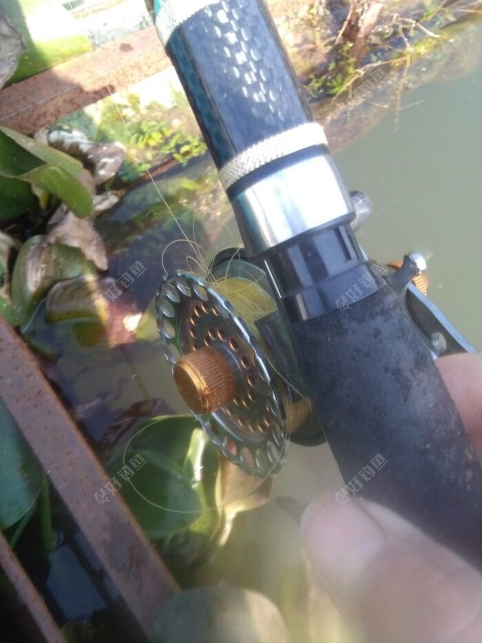 首次出现,钓程到此结束