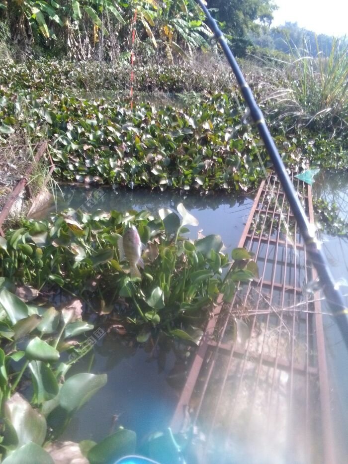 小非非