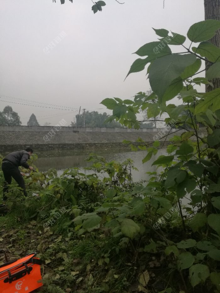 这家伙已经开工了