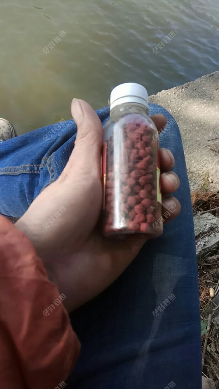 棵粒饵
