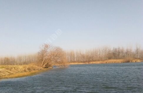 西淝河马庄北段