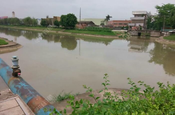 伦教大涌新塘段