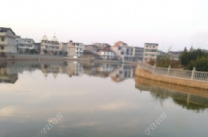 下璜村人工养殖塘