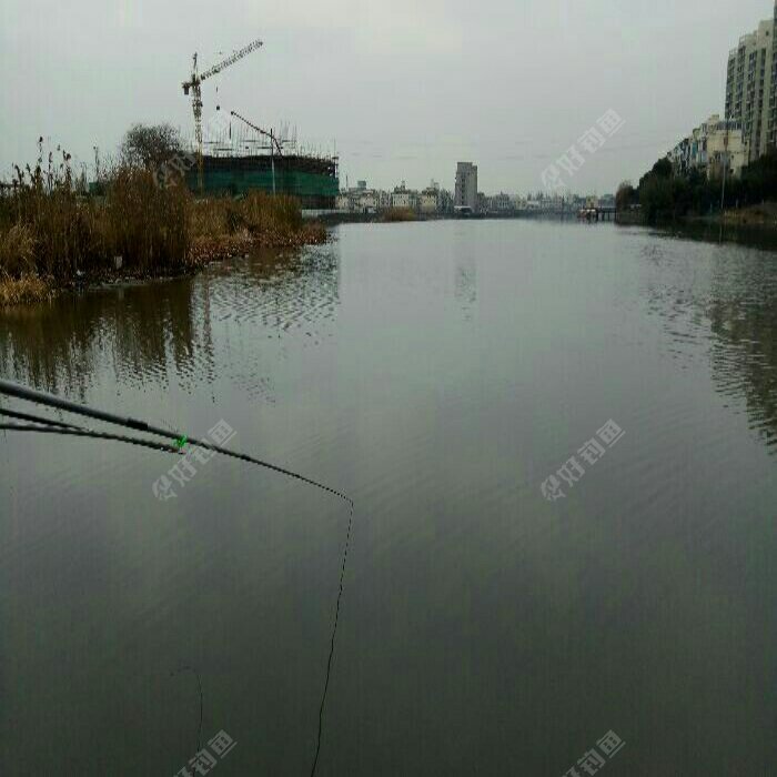 庄泾苑钓场