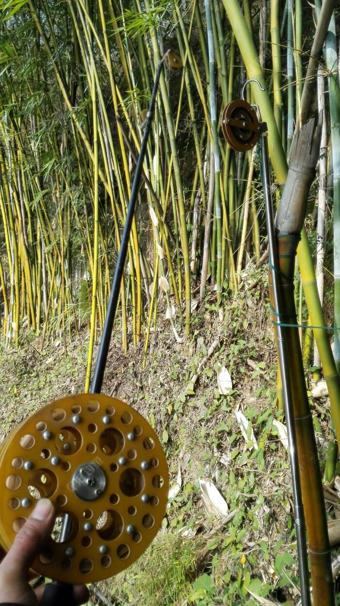把背杆固定在钓位的对面
