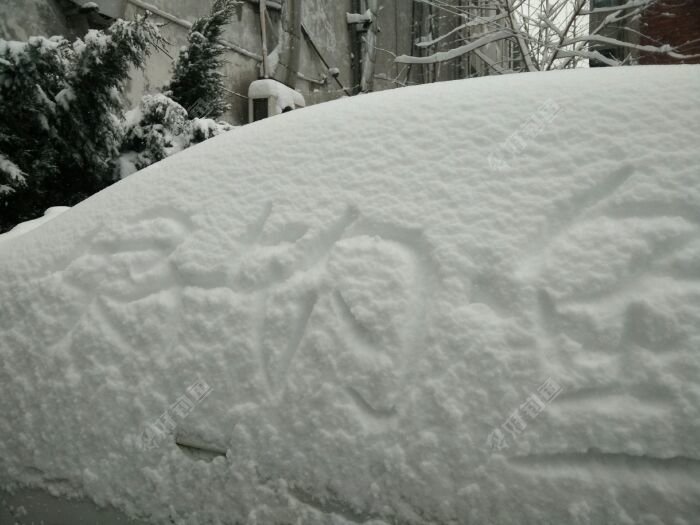 大雪把汽车都埋藏的无影无踪。
