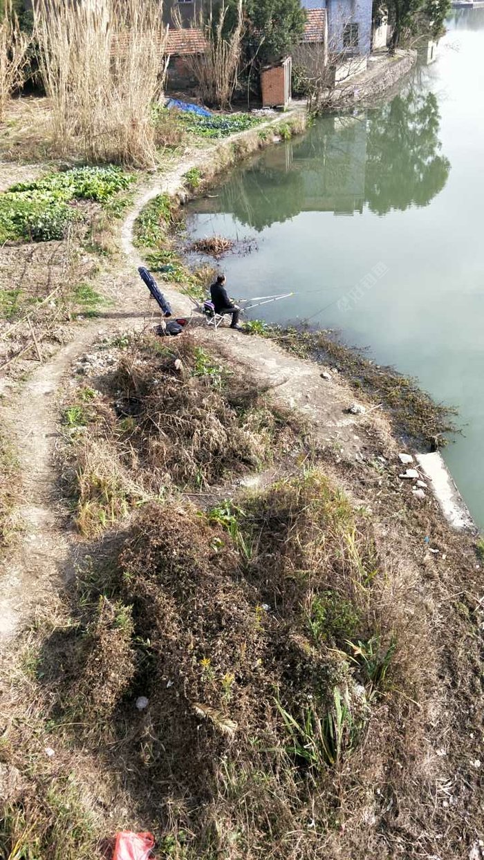 江山99后侧护养河