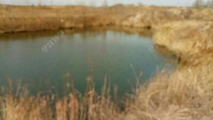 邹鲁生态园最北鱼塘