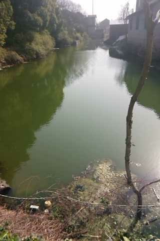 湖塘桥菜市场后面