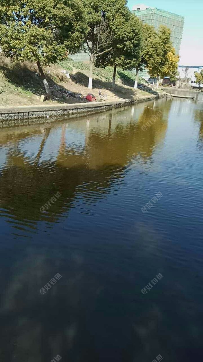 丽德创业园钓场