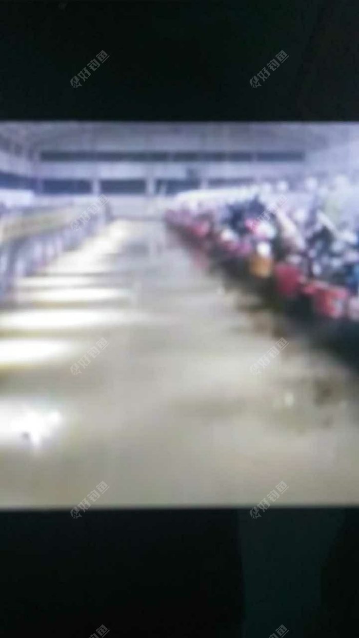 耿庄猎鱼坊垂钓俱乐部