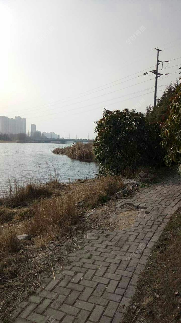 古黄河水景公园西楚桥