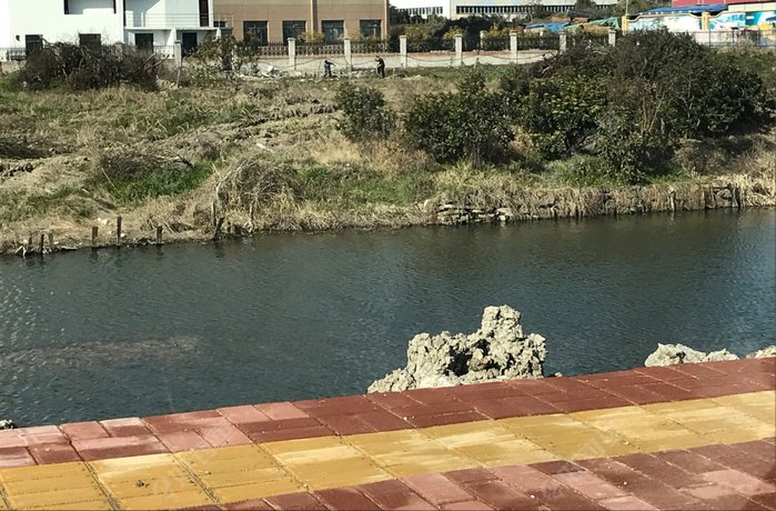 内环北路辅道野塘