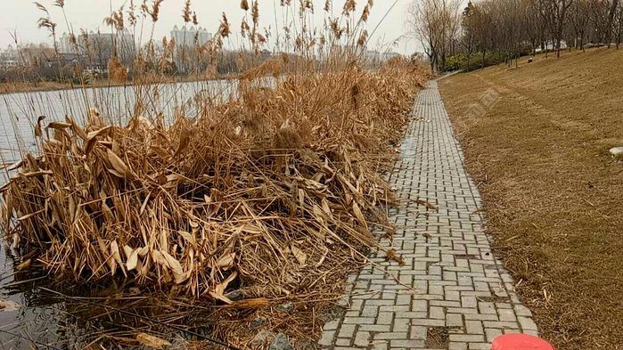 古黄河公园府苑小区北