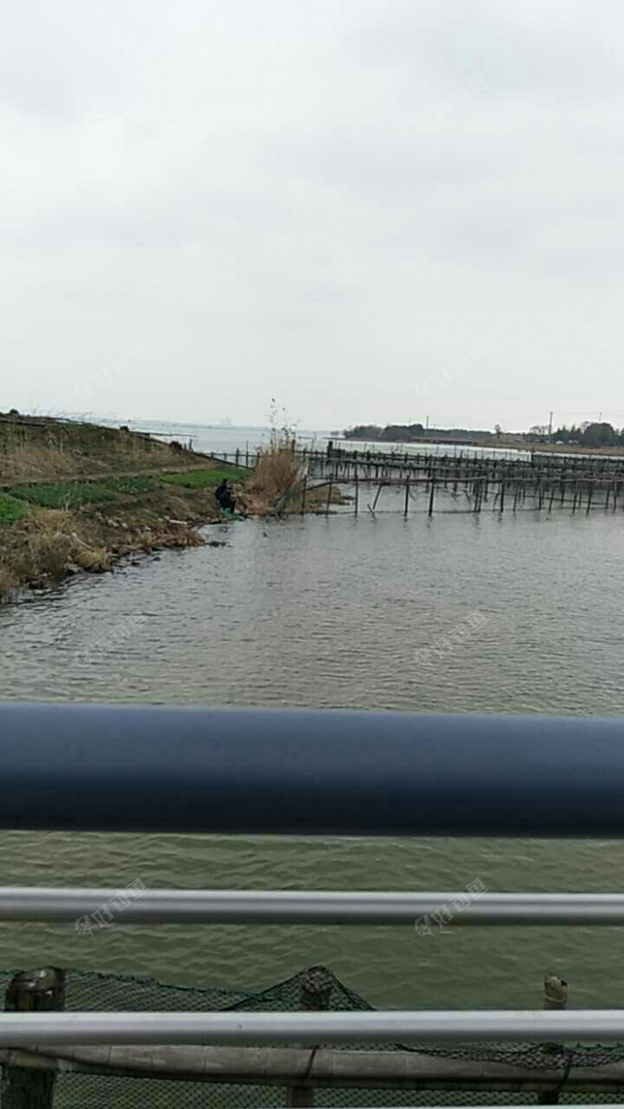 体育公园东七孔桥下