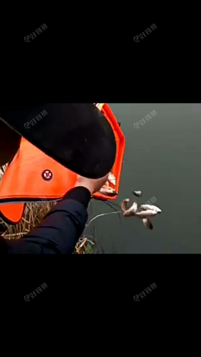 全程直播