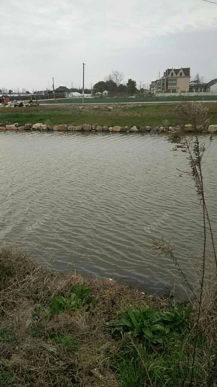 新四平高速出口右拐200米