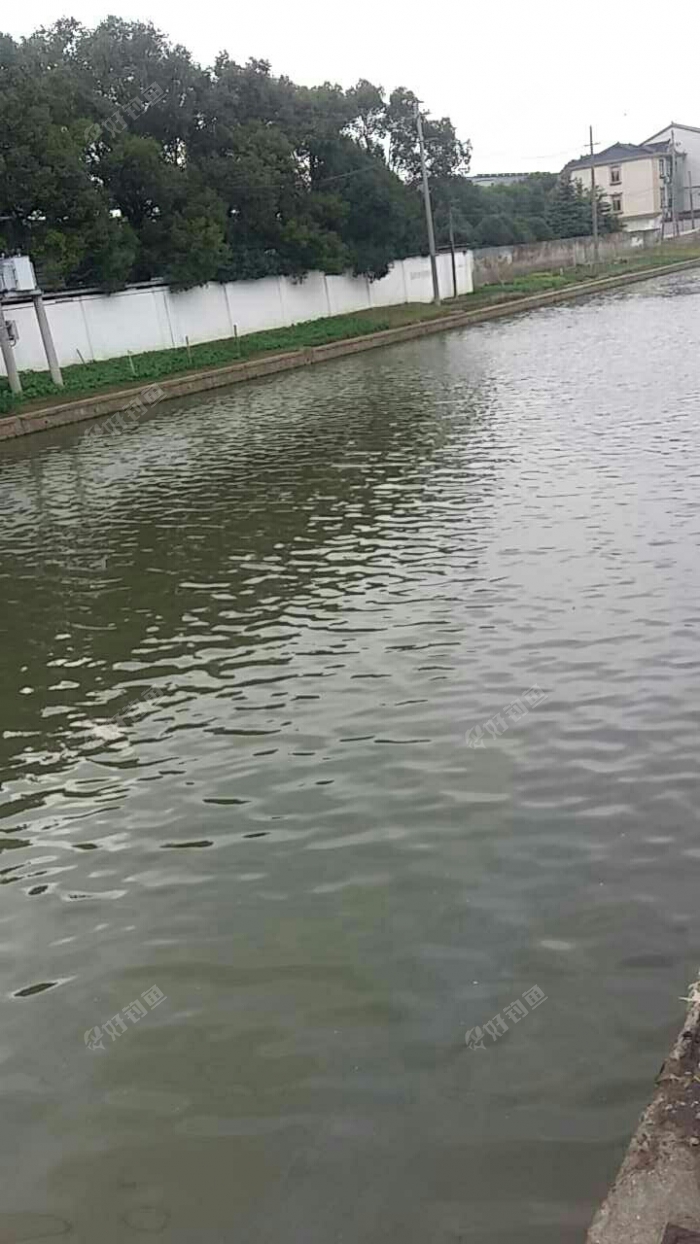 浦东新区南三支路