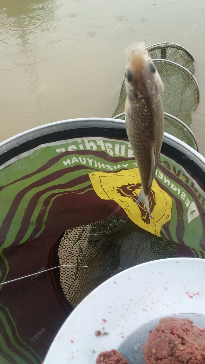 20180314_144531.jpeg