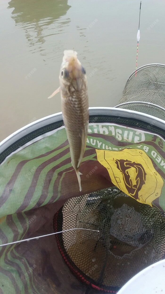 20180314_130840.jpeg