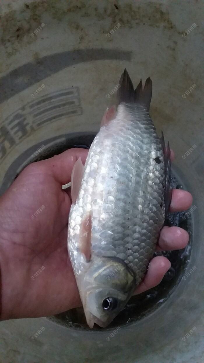 20180314_174419.jpeg