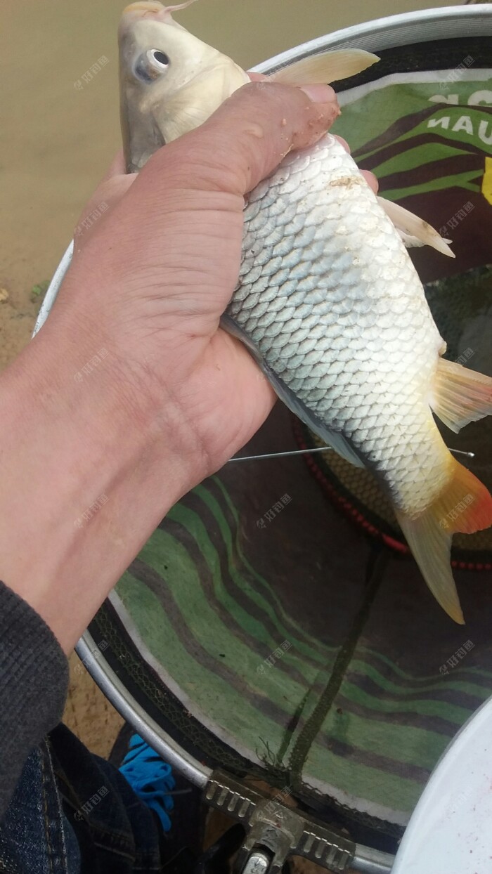 20180314_134024.jpeg