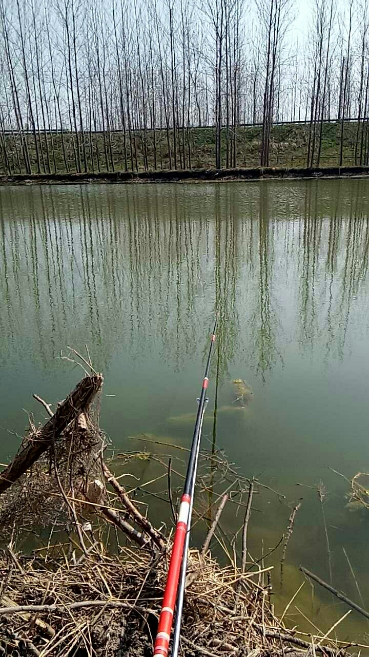 沿河大桥运野河
