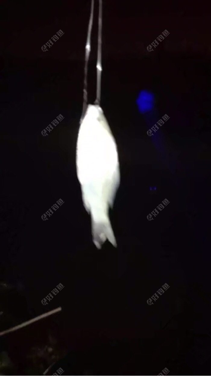小小的