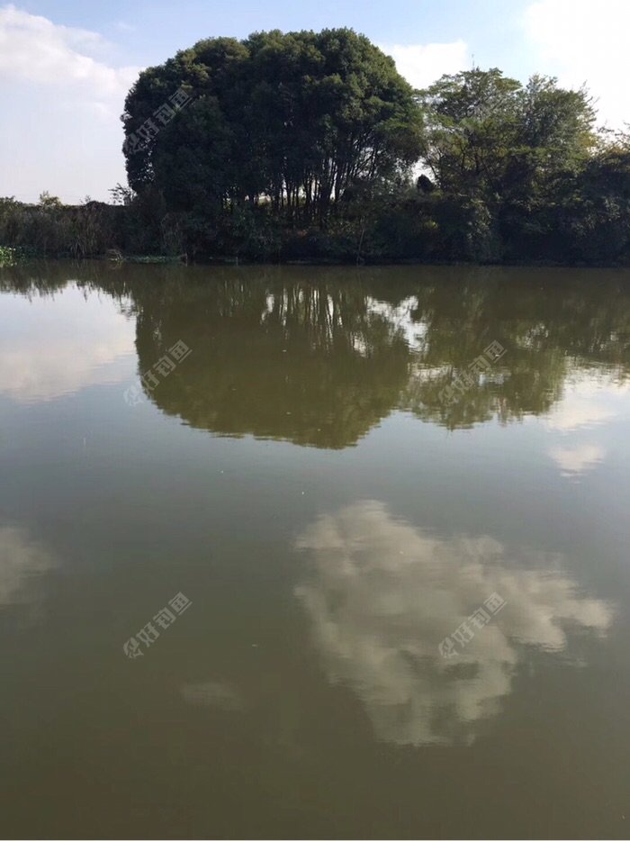 风景很好!心情美美的!