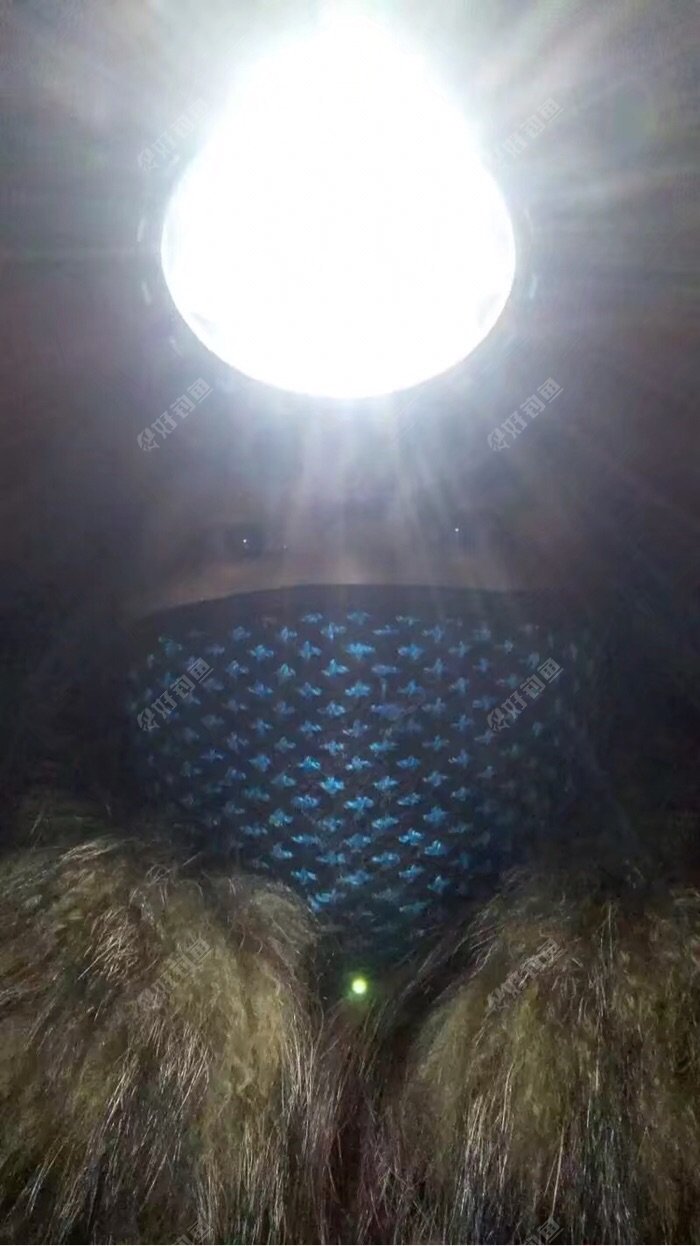 头灯亮吧!对这就是叶丫头!