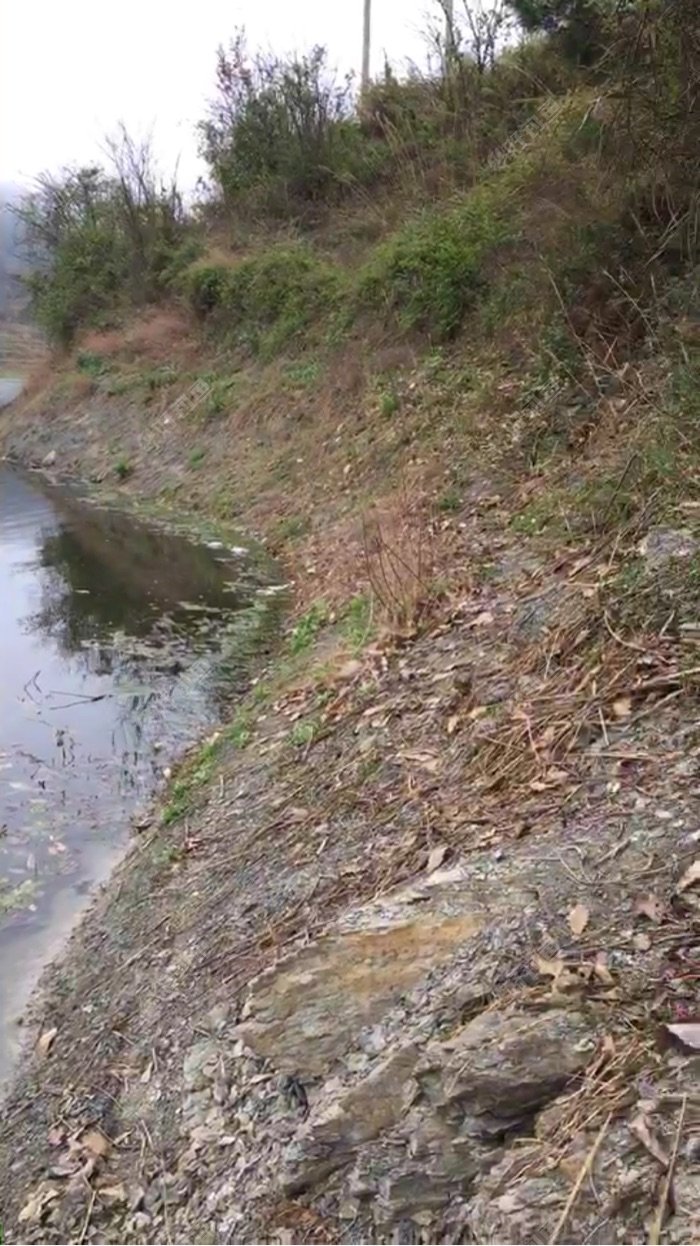 这个就是钓点旁边全是陡坡走都不好走