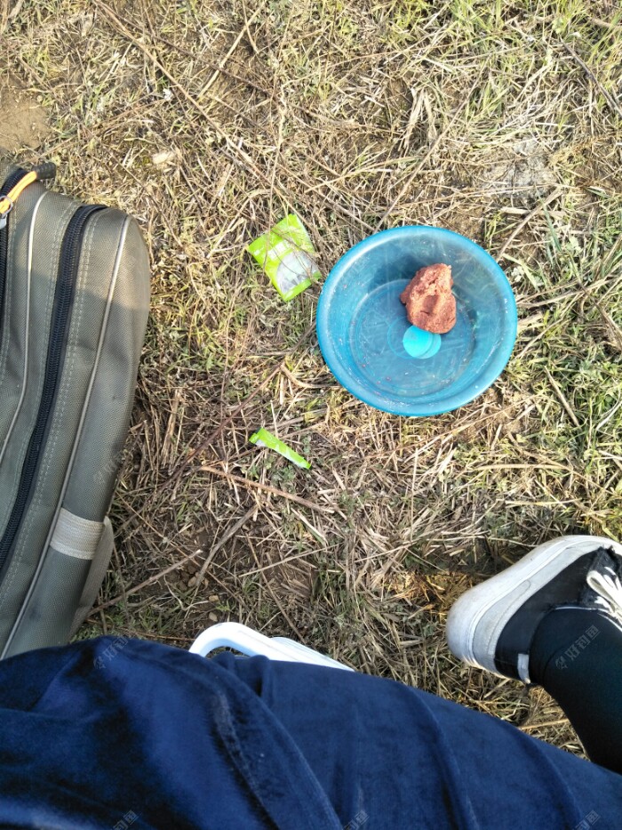 中途又用鲫鱼食和了一点，特意买了一瓶蚯蚓米打窝，蚯蚓米跟鲫鱼食和一起很香，一下午打了三四勺，也特意用鱼食跟虫子分别挂上，事实证明今天的鲫鱼吃虫子?。