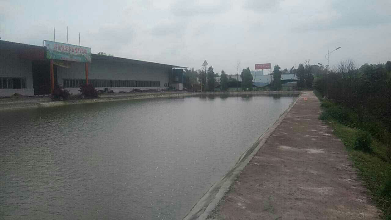 四川锐宏农业大物垂钓基地（福农橘园内）