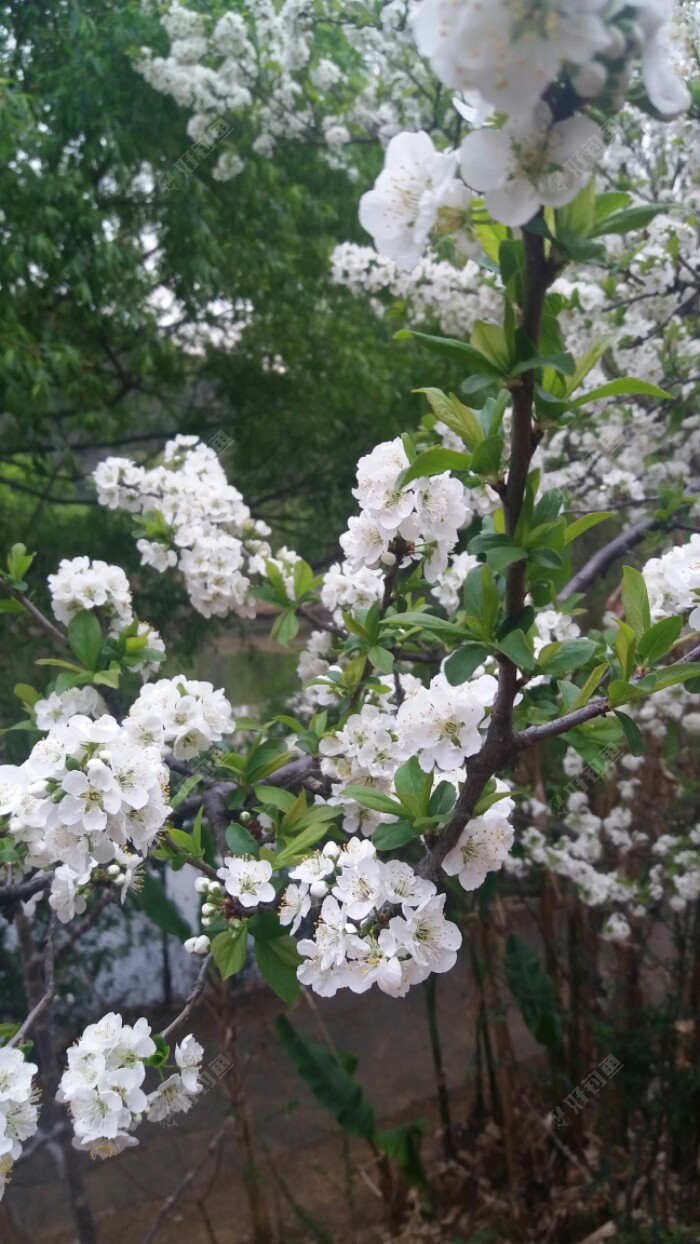 20180314_184301.jpeg