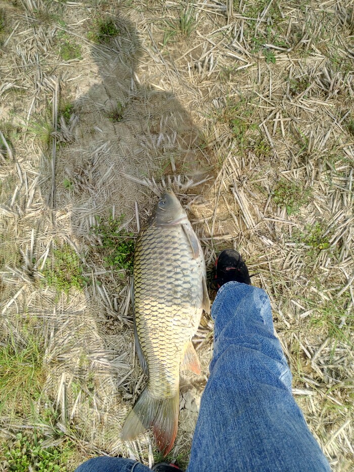 第一次钓这么大的10+