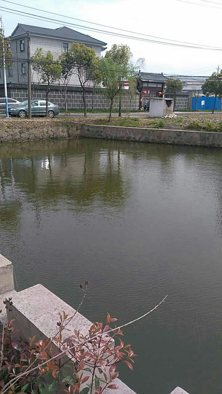 南渡大溪黄山湖西村